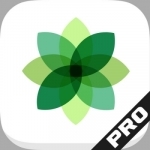 Photo Essential for Snapseed Artistic Image Hosting Edition