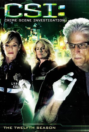 CSI: Crime Scene Investigation  - Season 12
