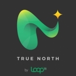 True North