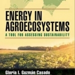 Energy in Agroecosystems: A Tool for Assessing Sustainability