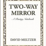 Two-Way Mirror: A Poetry Notebook