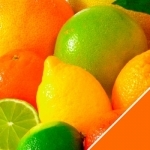 Vitamine & Mineralien
