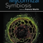 Molecular Mycorrhizal Symbiosis