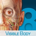 Human Anatomy Atlas – 3D Anatomical Model of the Human Body