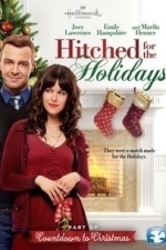 Hitched for the Holidays (2012)