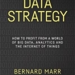 Data Strategy: How to Profit from a World of Big Data, Analytics and the Internet of Things