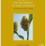 Genetic Enhancement of Rabi Sorghum: Adapting the Indian Durras