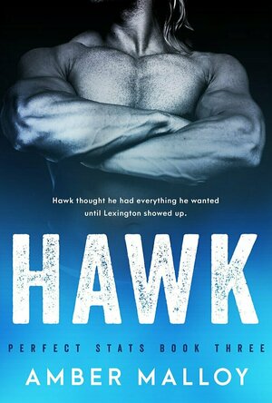 Hawk (Perfect Stats #3)