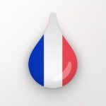 Drops: Learn French language