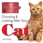 Choosing and Looking After Your Cat