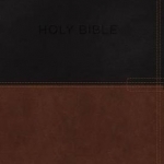 KJV, Know the Word Study Bible, Imitation Leather, Black/Brown, Indexed, Red Letter Edition: Gain a Greater Understanding of the Bible Book by Book, Verse by Verse, or Topic by Topic