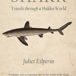Shark: Travels Through a Hidden World