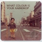 What Colour is Your Raindrop by Tajdar Junaid