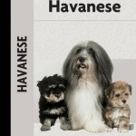 Havanese