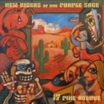 17 Pine Avenue by New Riders Of The Purple Sage