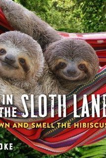 Life in the Sloth Lane: Slow Down and Smell the Hibiscus