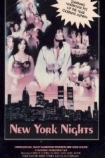 New York Nights (TBD)