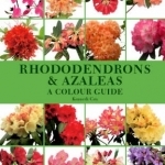 Rhododendrons and Azaleas: A Colour Guide