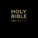 NIV Popular Cross-Reference Black Leather Bible: 1