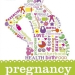 Pregnancy the Beginner&#039;s Guide