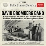 Blues, the Whole Blues and Nothing But the Blues by David Bromberg / David Band Bromberg