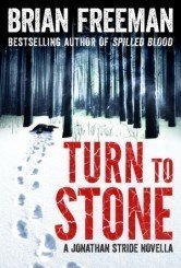 Turn to Stone (Jonathan Stride, #5.6)