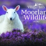 Villager Jim&#039;s Moorland Wildlife