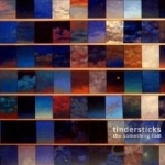 Something Rain by Tindersticks