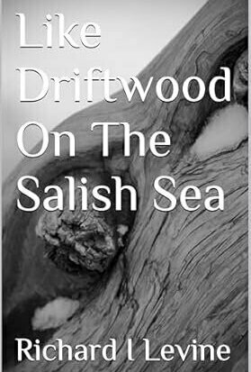 Like Driftwood On The Salish Sea