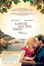 Love Is All You Need (2013)