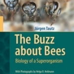 The Buzz About Bees: Biology of a Superorganism