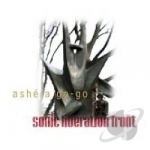 Ashe a Go-Go by Sonic Liberation Front