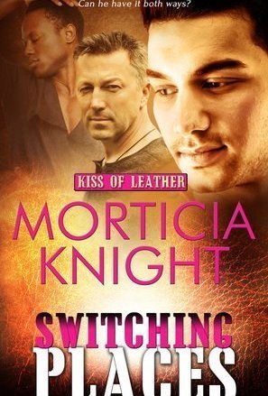 Switching Places (Kiss of Leather #8)