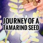 Journey of a Tamarind Seed