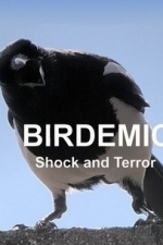 Birdemic: Shock And Terror (2008)