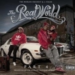 Real World, Vol. 4 by DJ Fresh / J Stalin