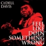 Feel Like Doin&#039; Something Wrong by CeDell Davis