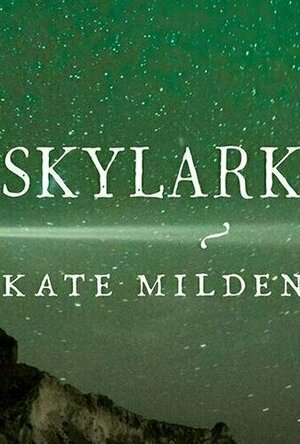 Skylarking