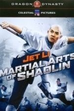 Martial Arts of Shaolin (1985)