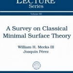 A Survey on Classical Minimal Surface Theory