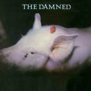 Strawberries by The Damned