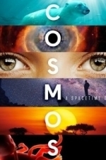 Cosmos: A Spacetime Odyssey  - Season 1