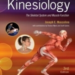 Kinesiology: The Skeletal System and Muscle Function