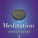 Meditation Now or Never