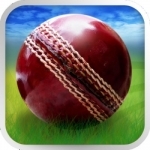 Cricket WorldCup Fever Deluxe