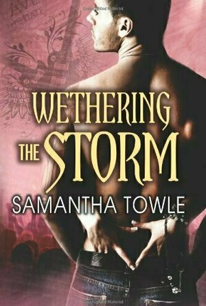 Wethering the Storm (The Storm, #2)