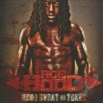 Blood Sweat &amp; Tears by Ace Hood