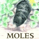 Moles