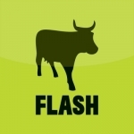 FLASH Trader