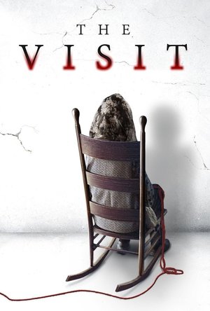 The Visit (2015)